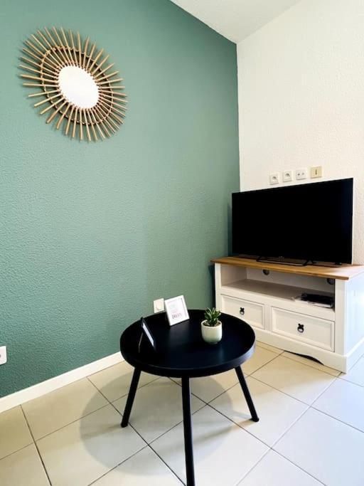 Zen Et Detente Appartement Roanne
